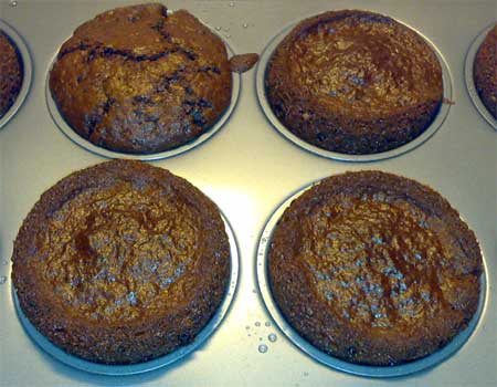 Chocolate chip muffins